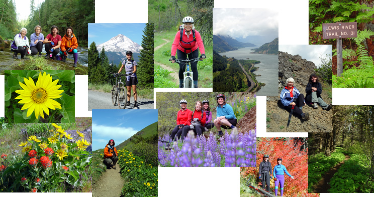 Collage of Dusty Deva activities
